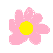 See on roosa lill
